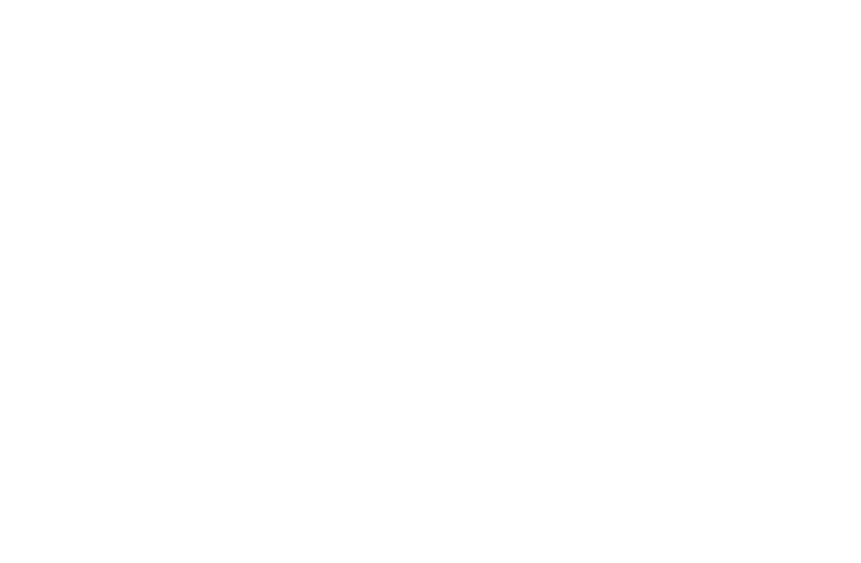 EFI